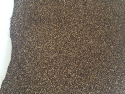 [將軍菊苣]將軍菊苣種子價格_播種方法