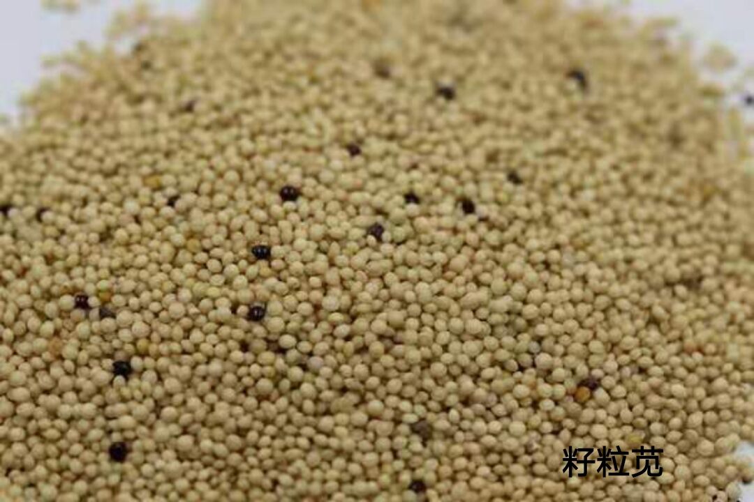 1564497762913433.jpg 1564497762913433.jpg