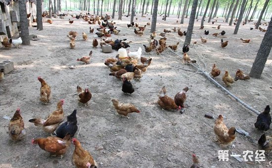 1570502940920757.jpg 2165-1P32QA91BK.jpg