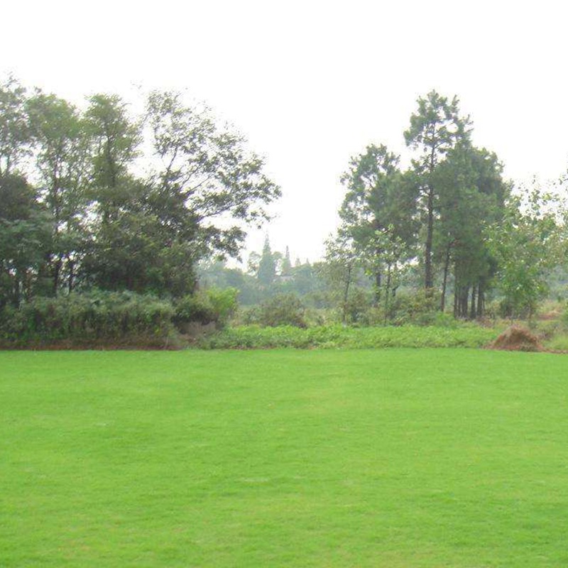 百慕大.jpg 百慕大.jpg