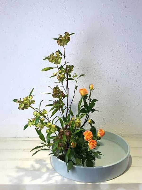 車桑子基本詳情介紹以及一車桑子的插花作品 車桑子基本詳情介紹以及一車桑子的插花作品