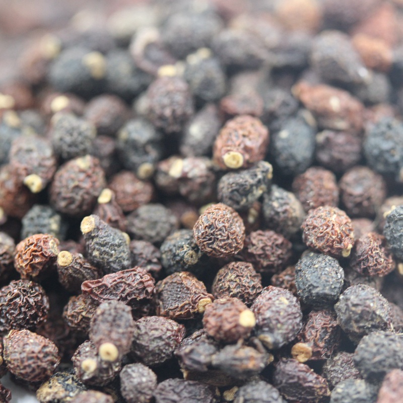 藍花鳶尾 藍花鳶尾