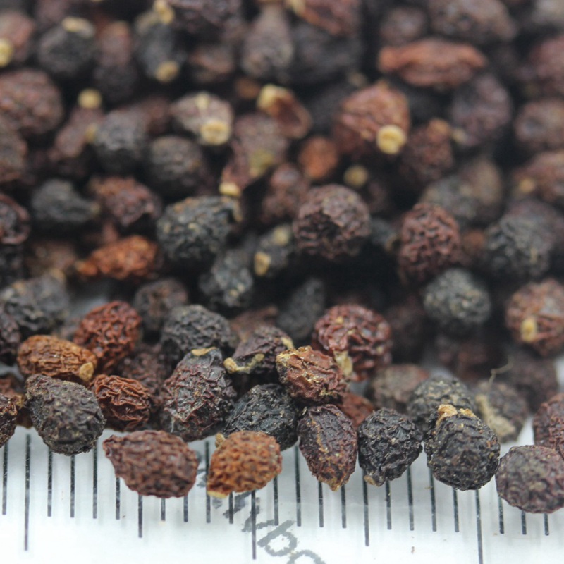 藍花鳶尾 藍花鳶尾