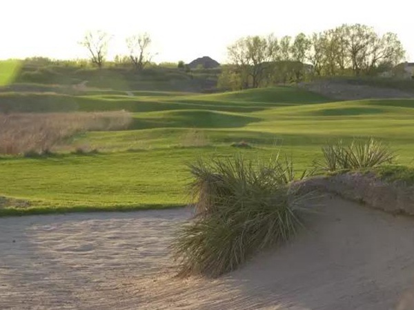 早熟禾與匍匐剪股穎這兩種草坪有什么區別? 早熟禾與匍匐剪股穎這兩種草坪有什么區別?