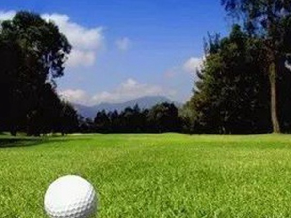 哪里有賣高爾夫球場的草坪種子，哪家種子質(zhì)量有保障？