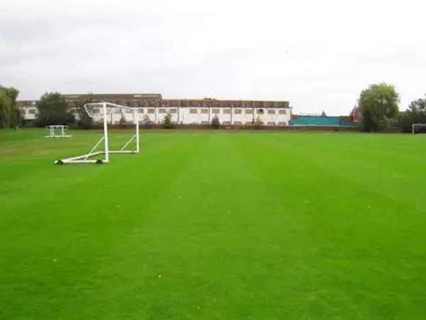 哪里有賣高爾夫球場的草坪種子，哪家種子質(zhì)量有保障？