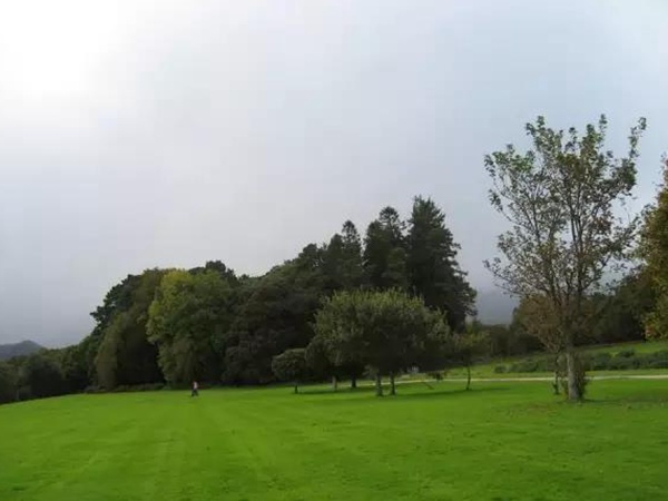 狗牙根春季壞死斑病選擇防治盡量要提前準備！