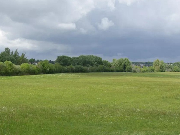 狗牙根品種基本介紹，種植效果