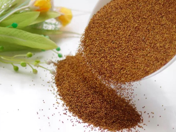 白三葉---綠化和牧草草種中的佼佼者 白三葉---綠化和牧草草種中的佼佼者