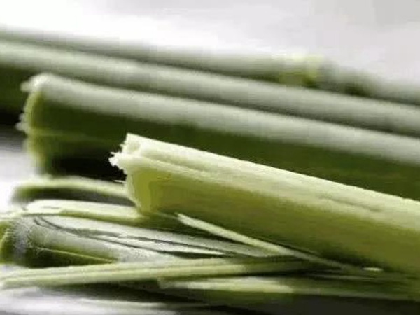 故鄉的回憶《老家的甜高粱》