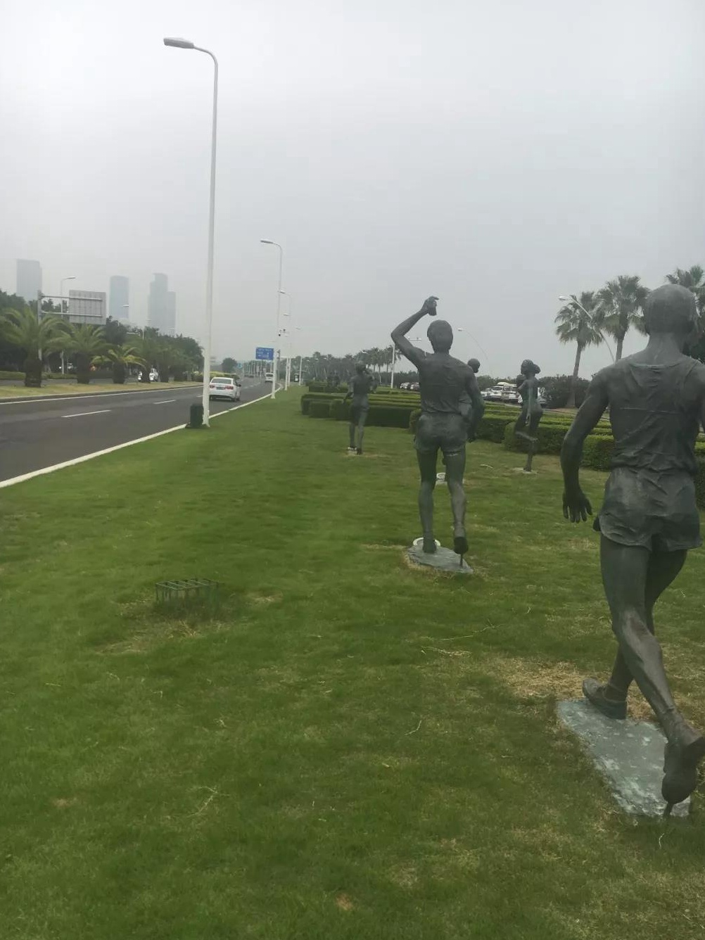 一年生黑麥草秋冬季補播種技術以及養護方法