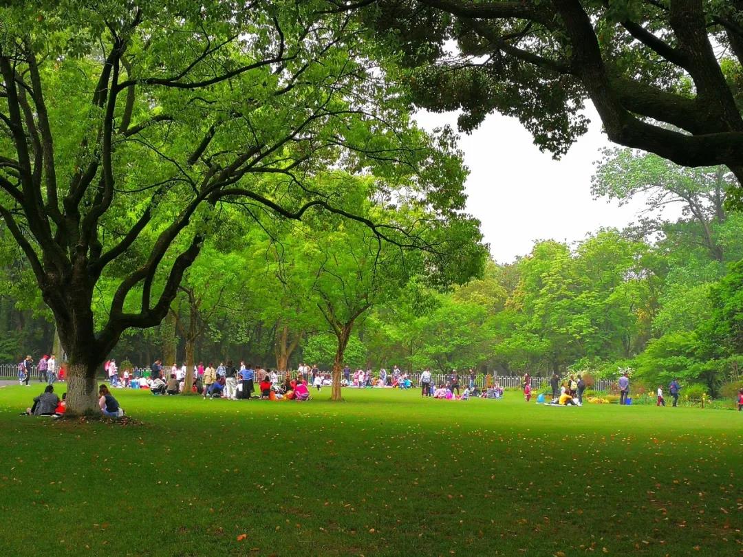 草坪如何才能美如畫,需要這幾個步驟 草坪如何才能美如畫,需要這幾個步驟