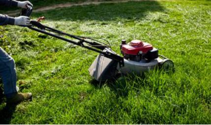 草坪怎么樣修剪才是正確的,什么方法比較好? 草坪怎么樣修剪才是正確的,什么方法比較好?