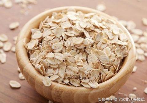 燕麥種子發(fā)芽率低怎么辦？怎么樣才能提高燕麥種子的發(fā)芽率？