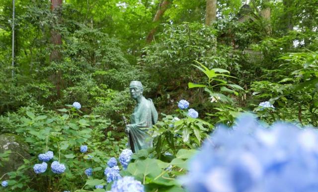 毛豆常見,山毛豆種植技術(shù)有哪些? 毛豆常見,山毛豆種植技術(shù)有哪些?