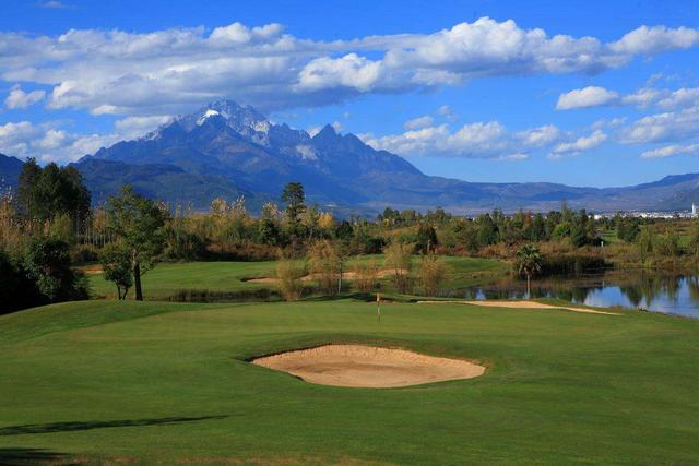 草坪綠化中的王者，護坡能力強大的的剪股穎草種