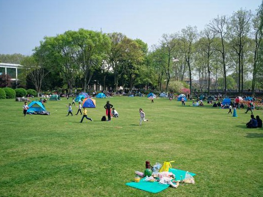 草坪的作用不僅僅是美化環境 還可以凈化空氣、過濾塵埃 草坪的作用不僅僅是美化環境 還可以凈化空氣、過濾塵埃