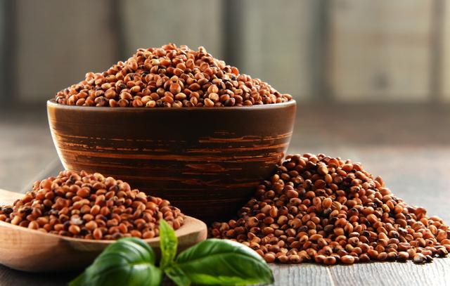 甜高粱怎么栽培?甜高粱科學栽培技術(shù)是什么! 甜高粱怎么栽培?甜高粱科學栽培技術(shù)是什么!