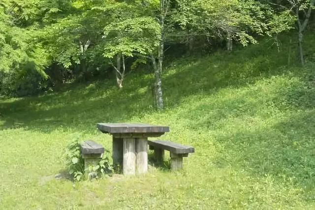 草坪有哪幾種分類你知道嗎？