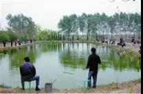 龍蝦養(yǎng)殖中小米草如何種植效益比較好 龍蝦養(yǎng)殖中小米草如何種植效益比較好