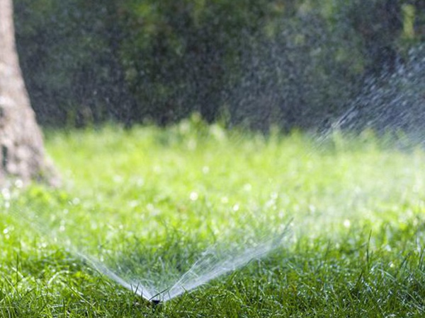 草坪生活中有很多,草坪的種類有哪些? 草坪生活中有很多,草坪的種類有哪些?
