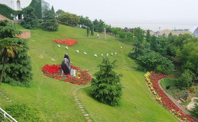 草坪種植養護技術 以及種植方法