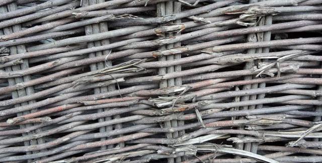 荊條的主要價(jià)值以及種植管理技術(shù)介紹 荊條的主要價(jià)值以及種植管理技術(shù)介紹