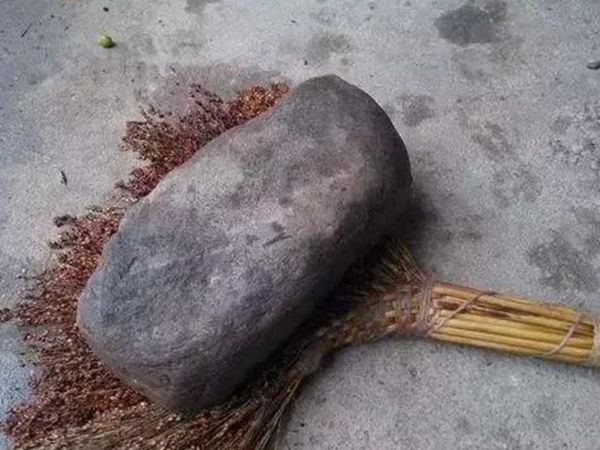 故鄉的回憶《老家的甜高粱》