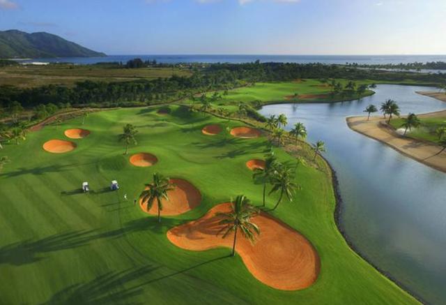 一次種植，多次收益的優質牧草——多年生黑麥草