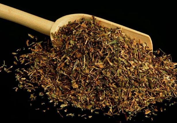 要想小米草種的好，要學會種植的技巧與方法