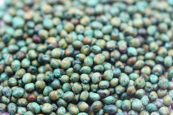 <a href=http://www.tenww.cn/product/2.html target=_blank class=infotextkey>大力士甜高粱種子</a> 大力士甜高粱種子