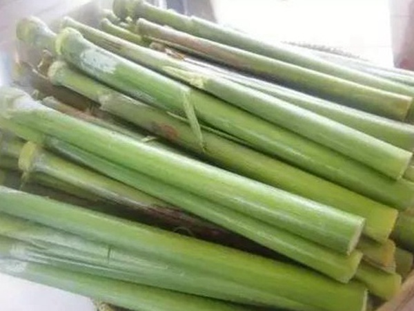 故鄉的回憶《老家的甜高粱》