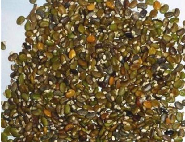 毛豆常見,山毛豆種植技術(shù)有哪些? 毛豆常見,山毛豆種植技術(shù)有哪些?