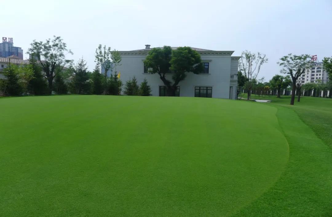 草坪如何才能美如畫,需要這幾個步驟 草坪如何才能美如畫,需要這幾個步驟