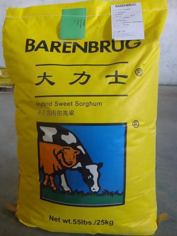 飼用甜高粱“大力士”助您脫貧攻堅!甜高粱牧草種子特性 飼用甜高粱“大力士”助您脫貧攻堅!甜高粱牧草種子特性