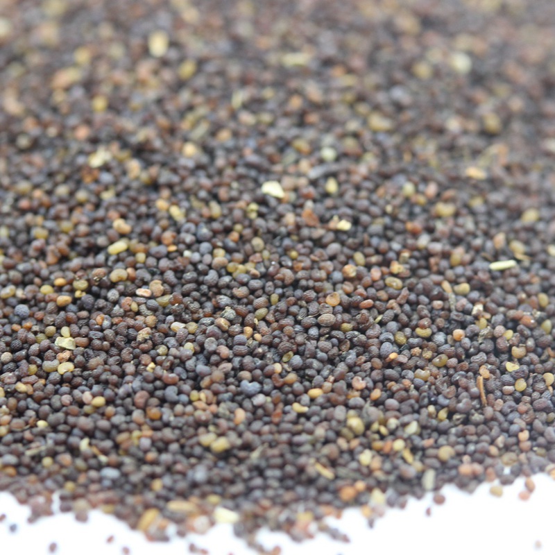 紅色虞美人 紅色虞美人