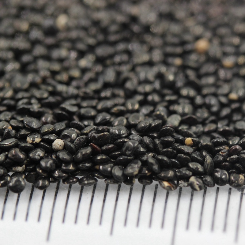 火焰雞冠花 火焰雞冠花