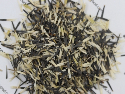 [孔雀草]孔雀草種子價格_圖片_播種方法