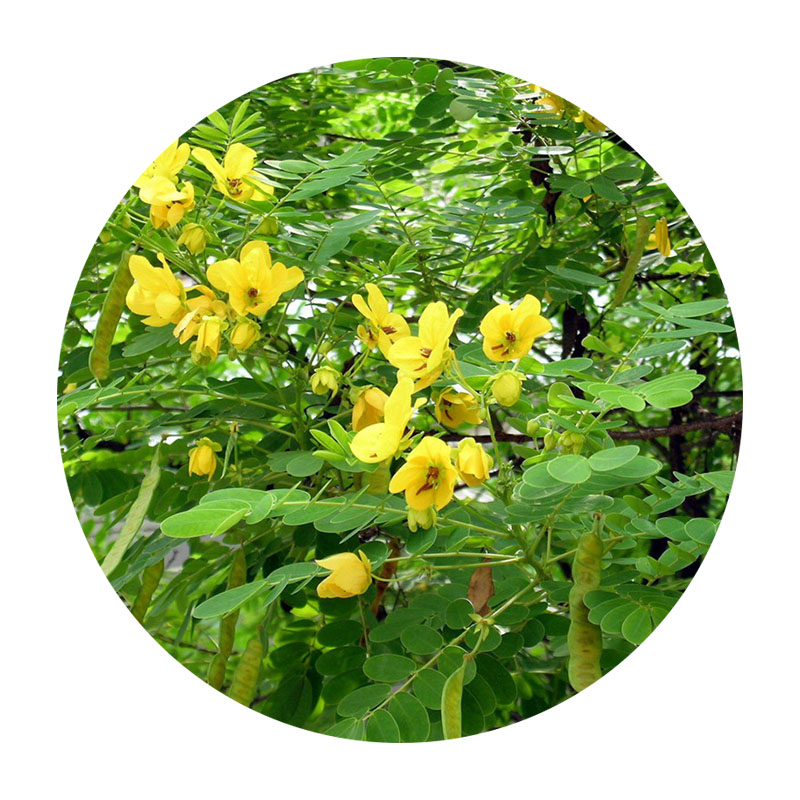 1594603475920640.jpg 50.jpg