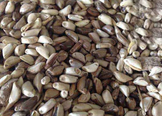 1625793815679188.jpg image.jpg