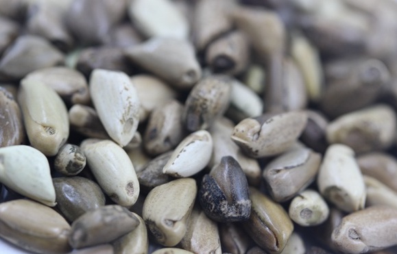 1626702481652540.jpg image.jpg