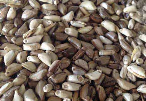 1626958423612402.jpg image.jpg