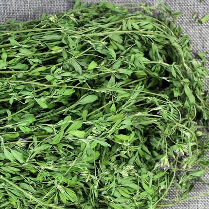 苜蓿畝產干草多少噸 苜蓿畝產干草多少噸