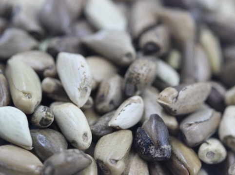 1627038562599176.jpg image.jpg