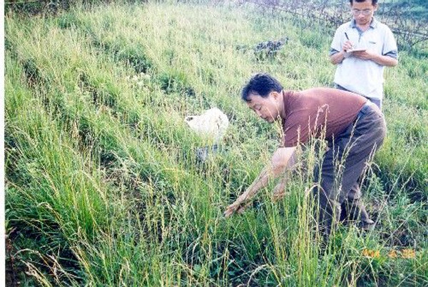 1627223703956655.jpg image.jpg