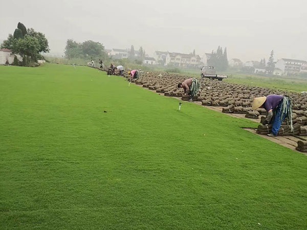 1627225128864680.jpg image.jpg