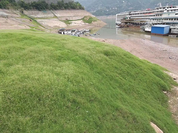 1627372229646071.jpg image.jpg