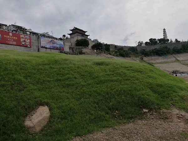 1627372234423940.jpg image.jpg