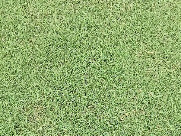 1627376075951746.jpg image.jpg