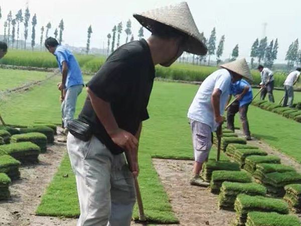 1627379387194643.jpg image.jpg